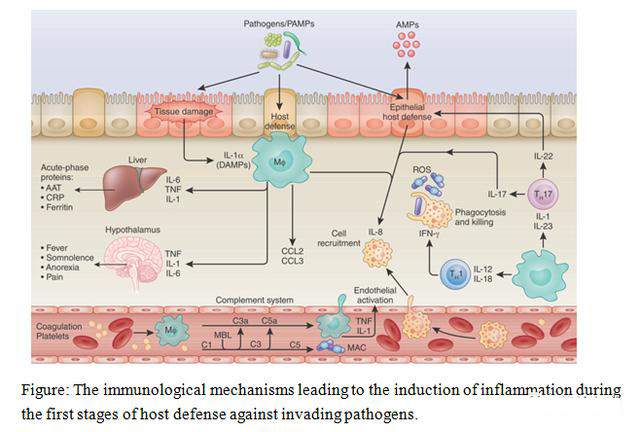 1598421045706543.jpg 微信圖片_20200826105525.jpg