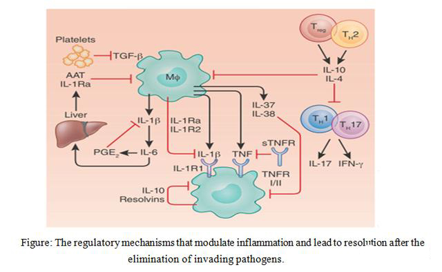 1598421118812716.jpg 微信圖片_20200826105520.jpg